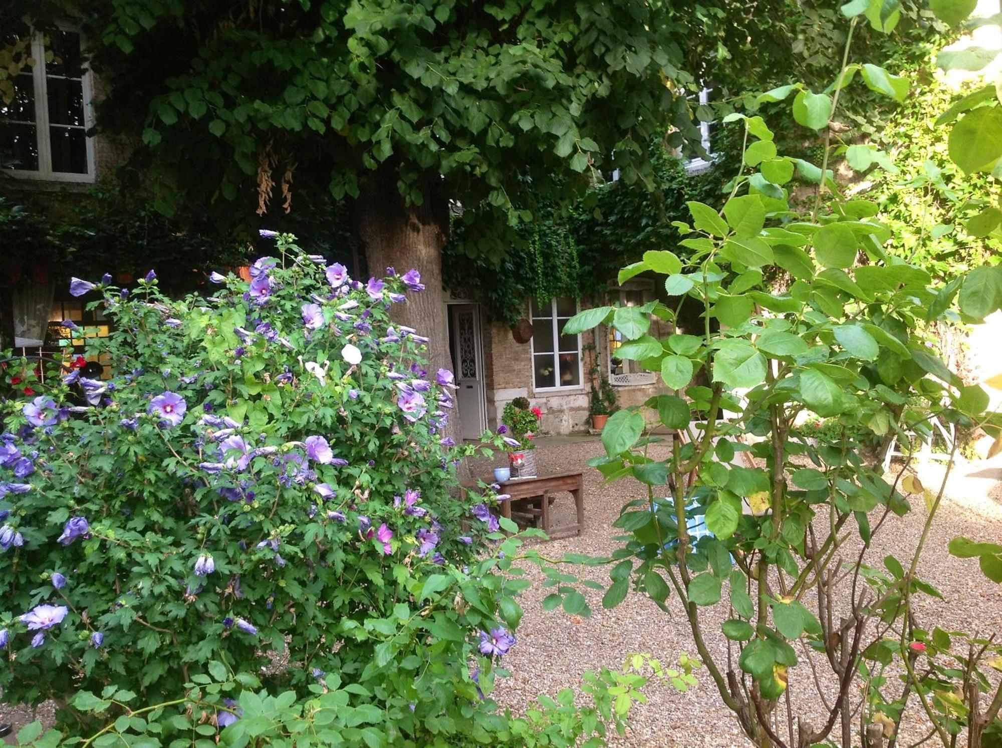 Chambres D'Hotes La Villa Alienor Les Andelys Exteriör bild